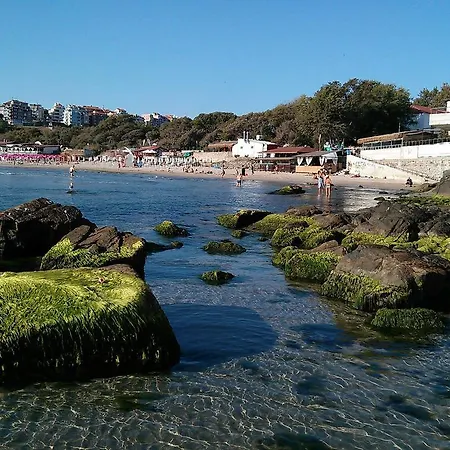 Milet 28